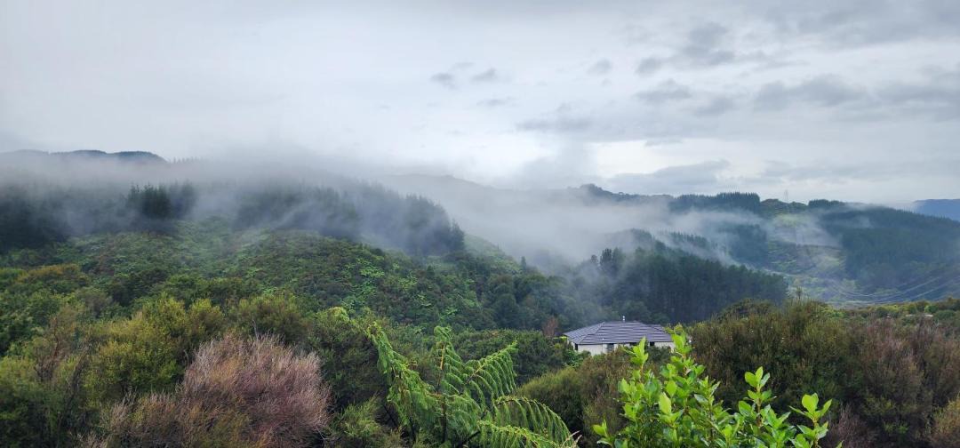 Photo of Others in Upper Hutt