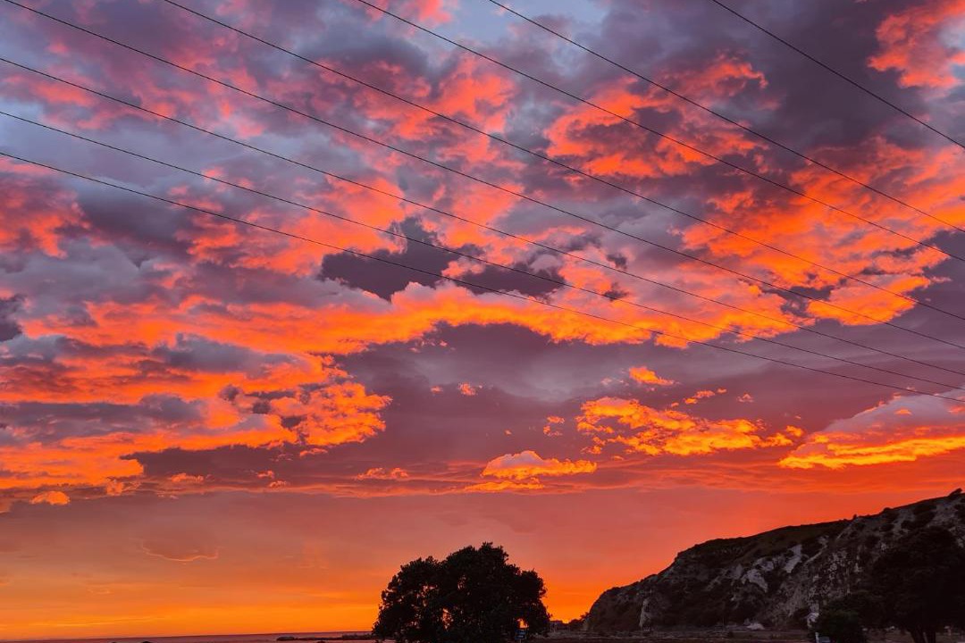 Photo of Others in Kaikoura