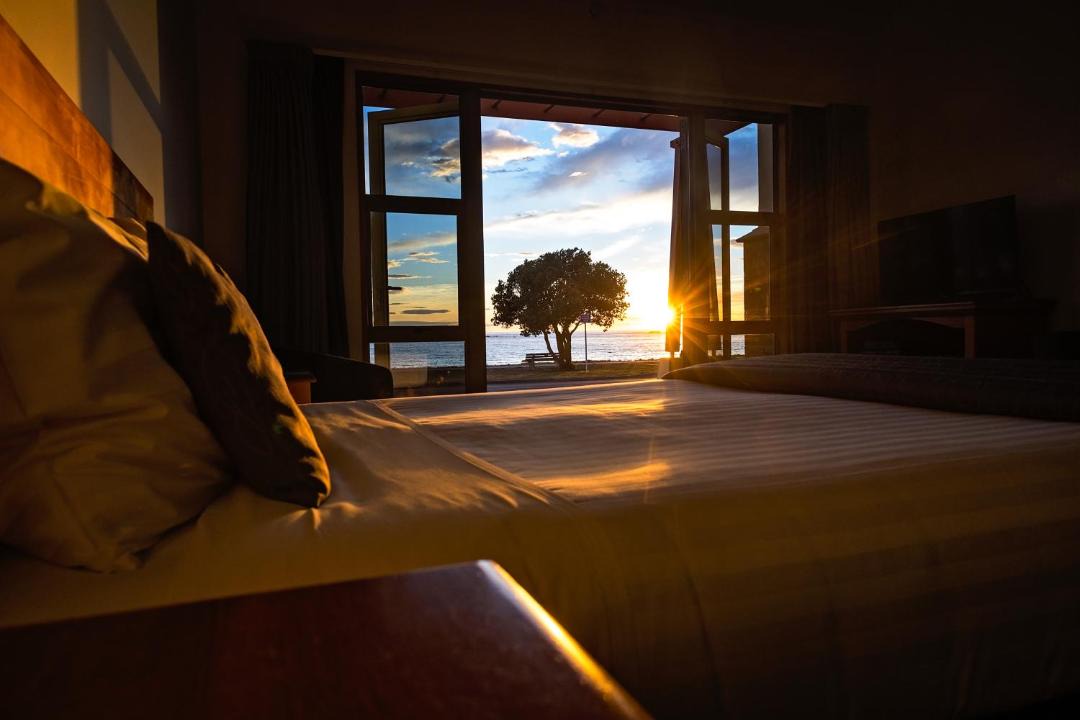 Photo of Others in Kaikoura