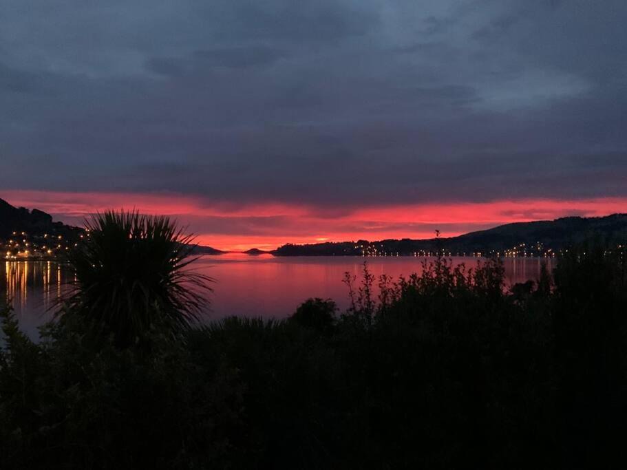 Photo of Others in Dunedin