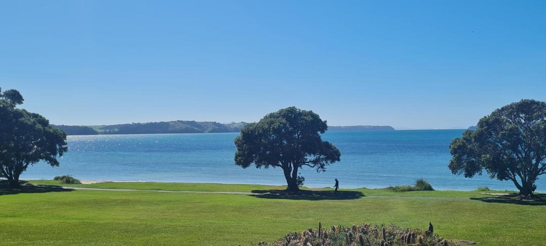 Photo of Others in Snells Beach