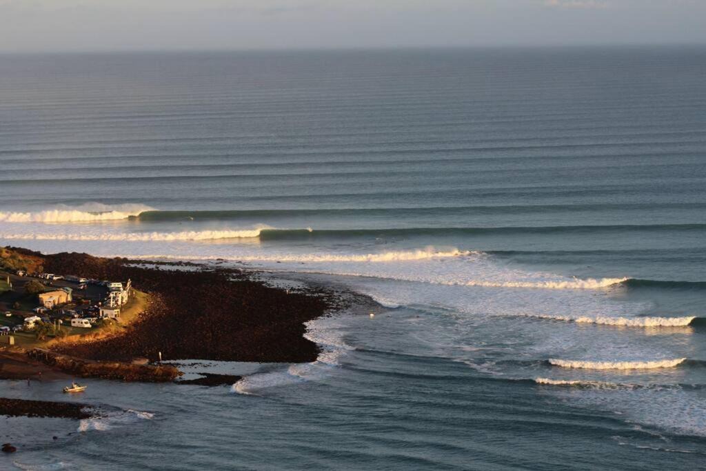 Photo of Others in Raglan