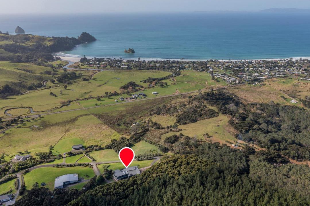 Photo of Others in Whangapoua
