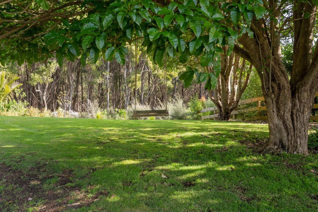 Photo of Others in Whangapoua