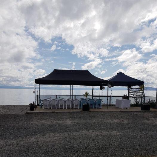 Photo of Others in Waitahanui