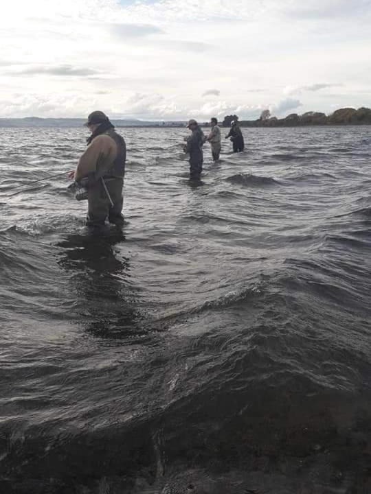 Photo of Others in Waitahanui