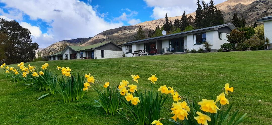Photo of Others in Wanaka