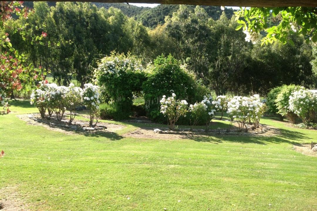 Photo of Others in Queensberry