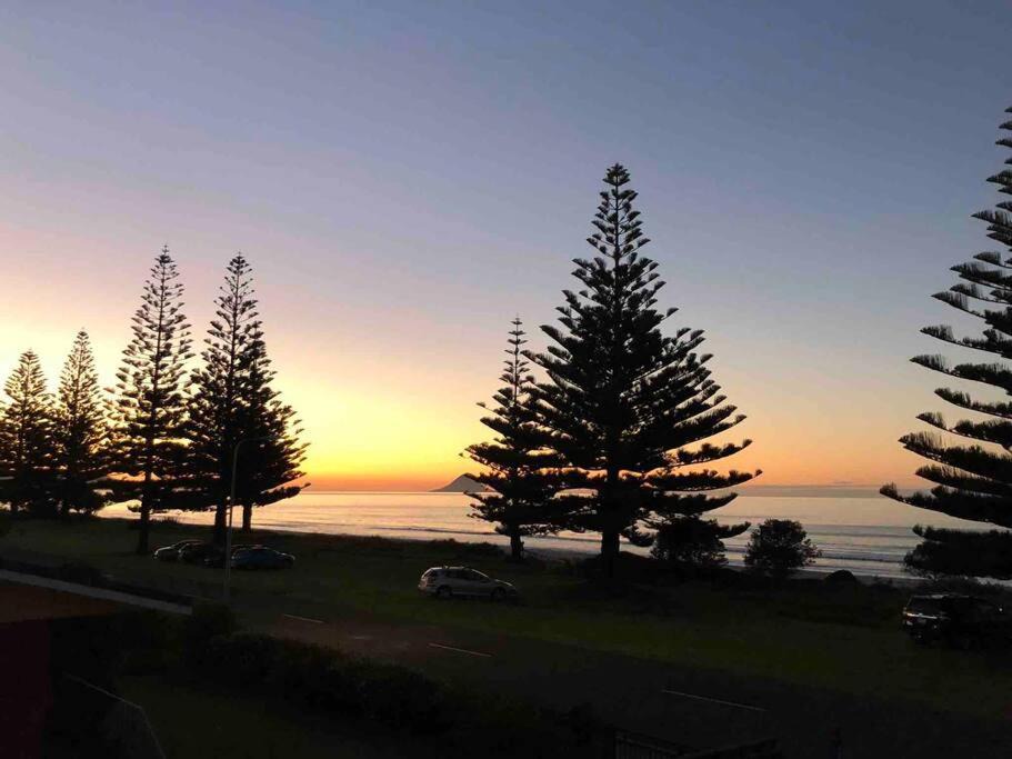 Photo of Others in Ohope