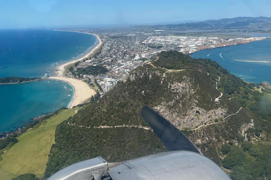 Photo of Others in Tauranga