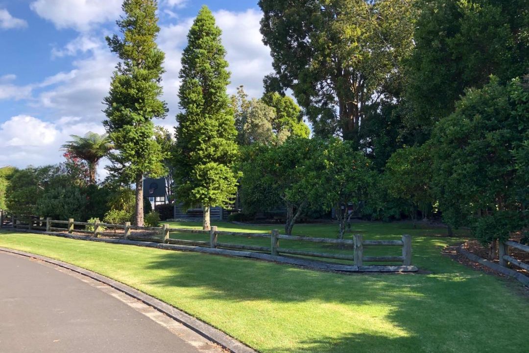Photo of Others in Tauranga