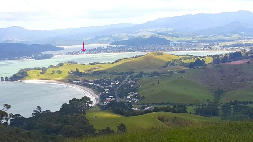 Photo of Others in Whitianga