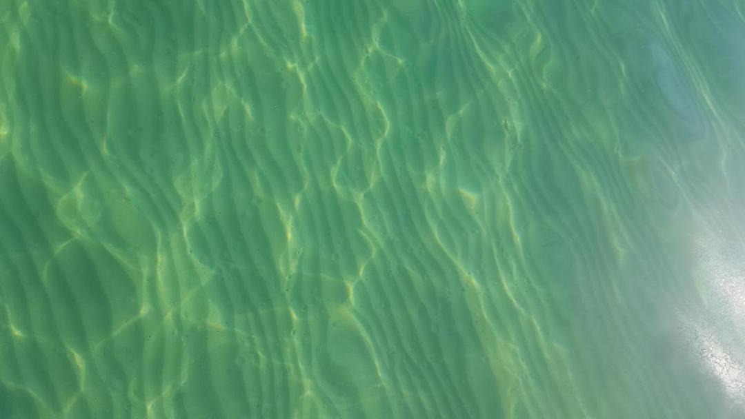Photo of Others in Whitianga