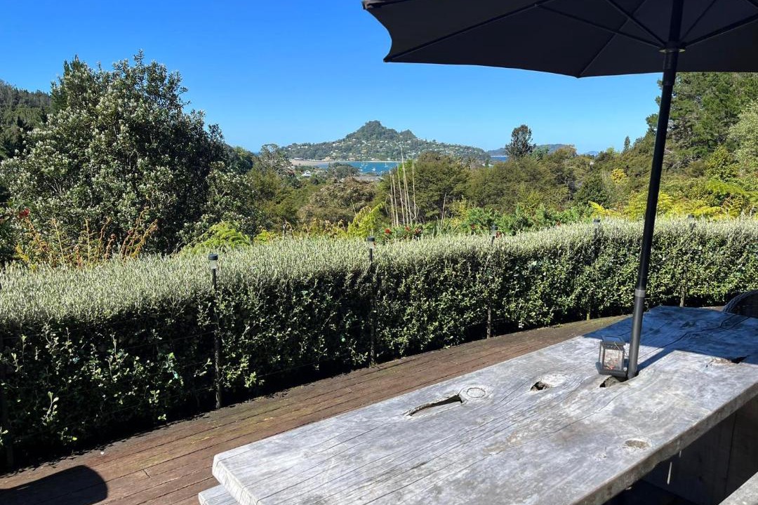 Photo of Others in Tairua