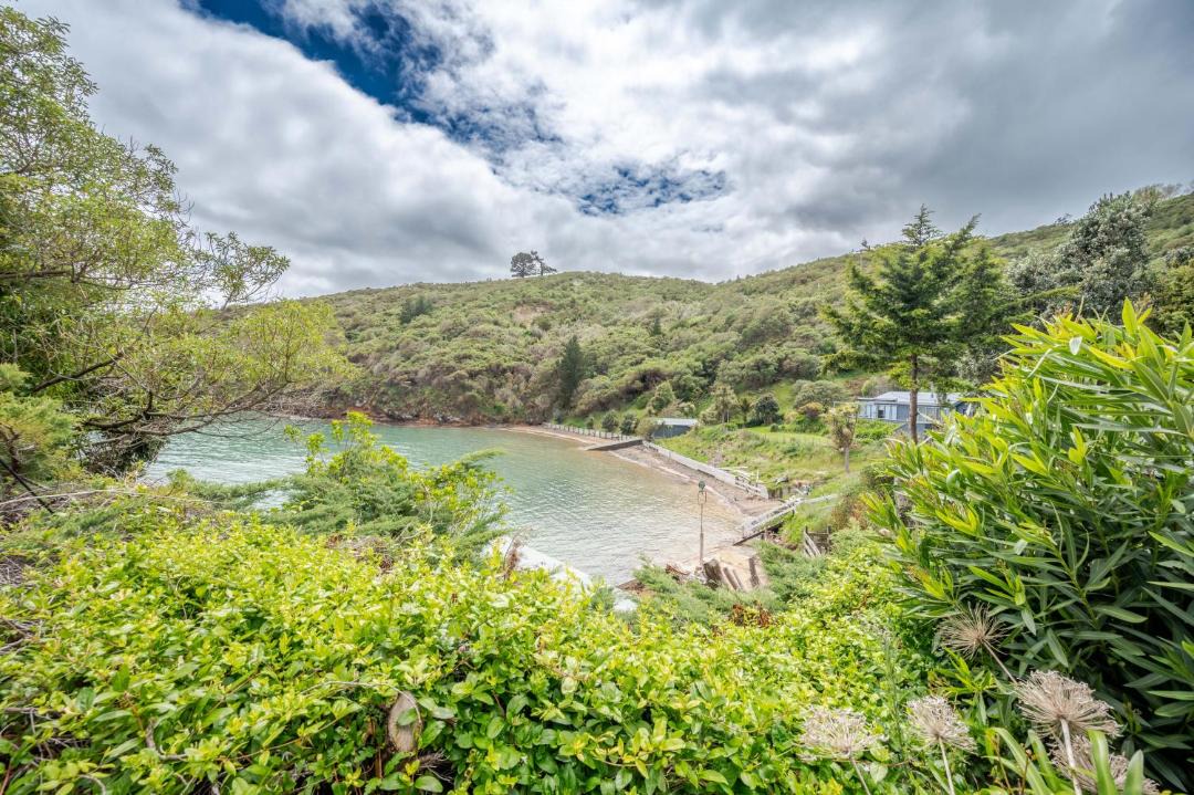 Photo of Others in Akaroa