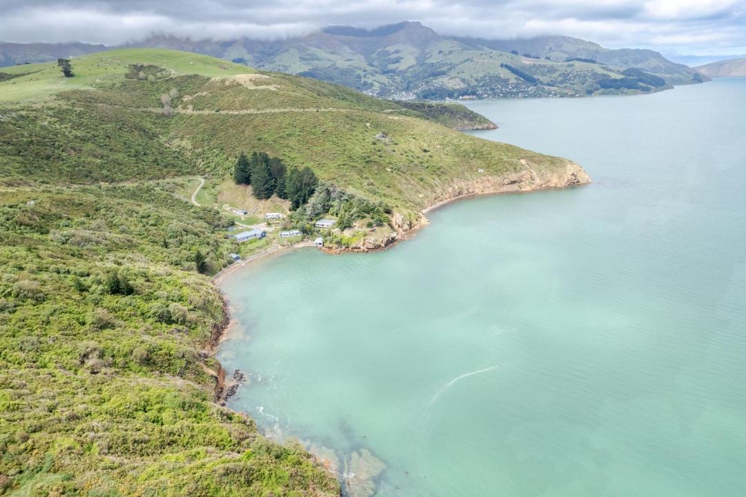 Photo of Others in Akaroa