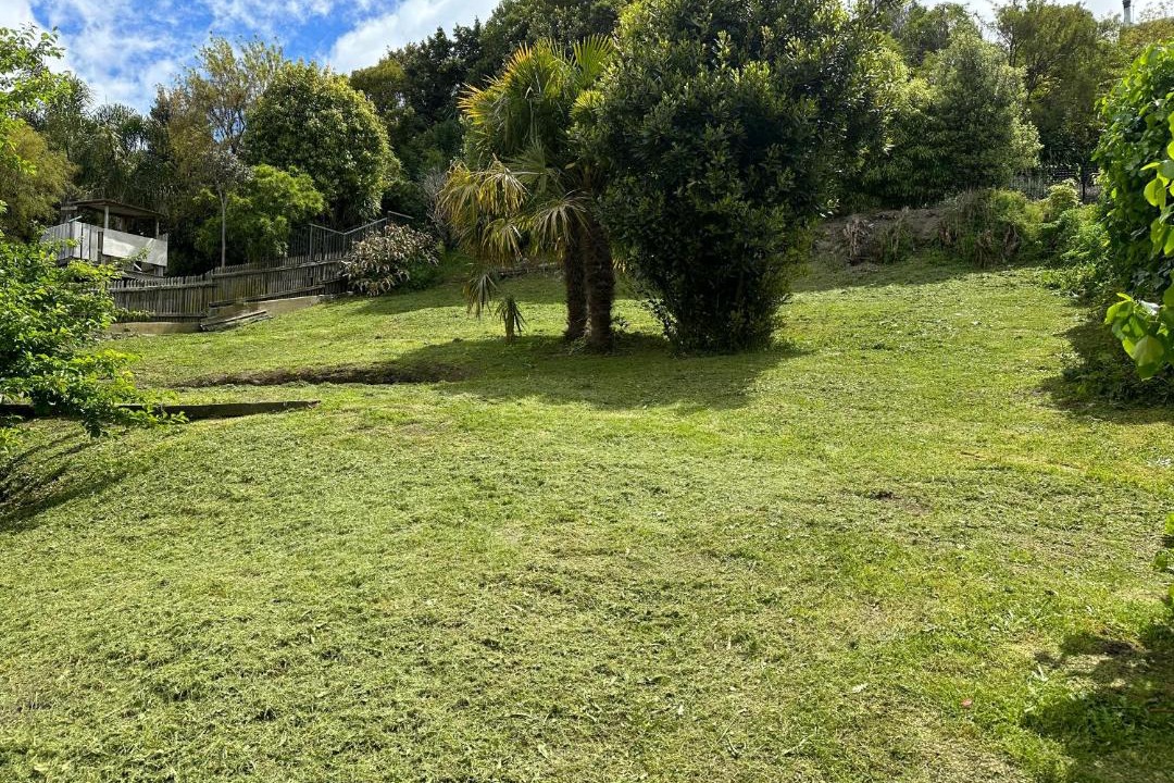 Photo of Others in Nelson South