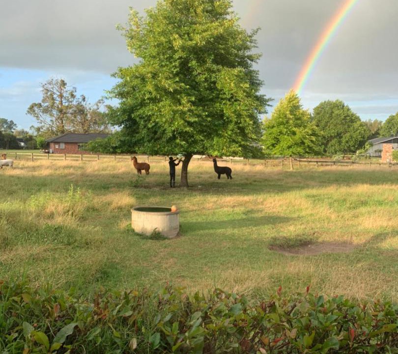 Photo of Others in Matamata