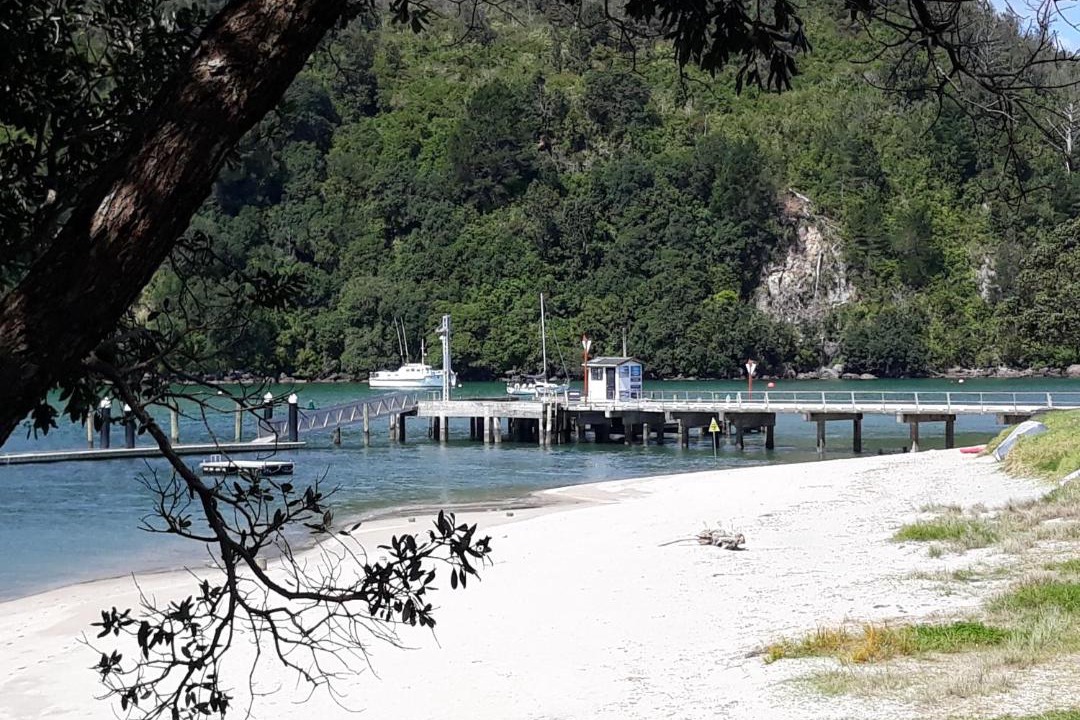 Photo of Others in Whangamata