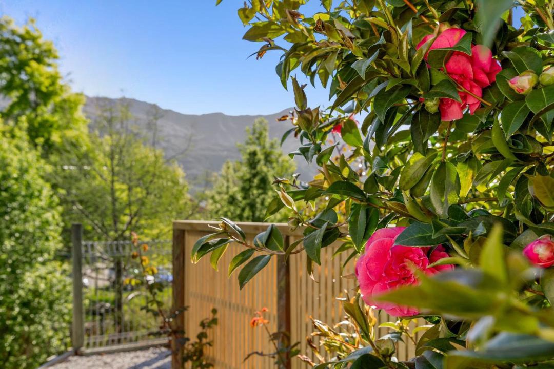 Photo of Others in Wanaka
