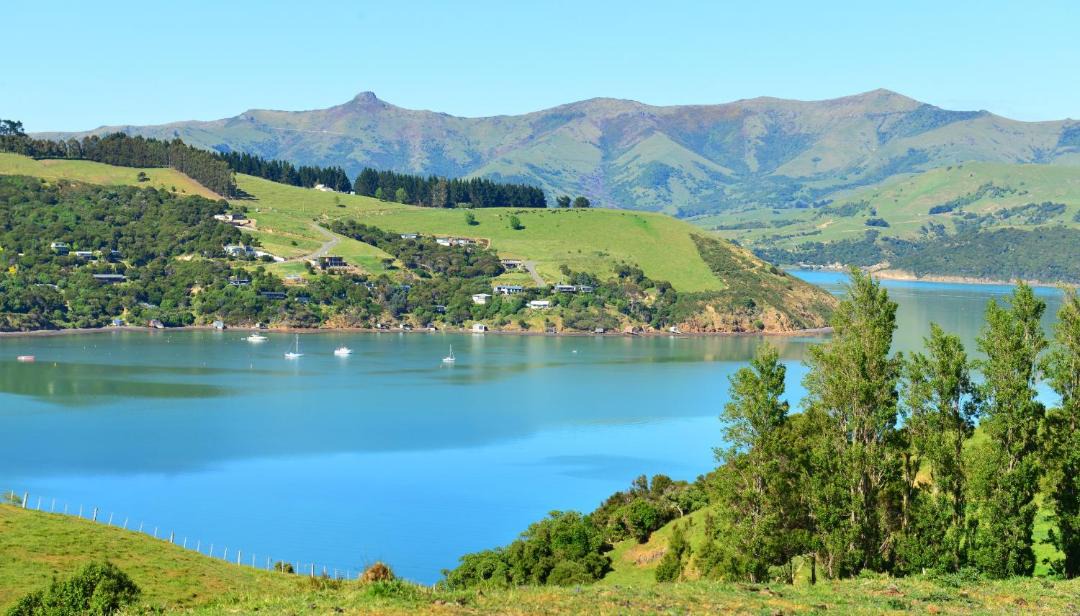 Photo of Others in Akaroa