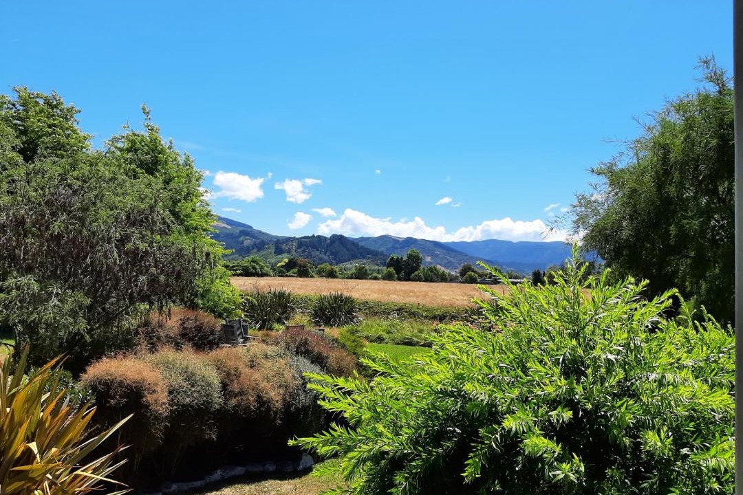 Photo of Others in Riwaka