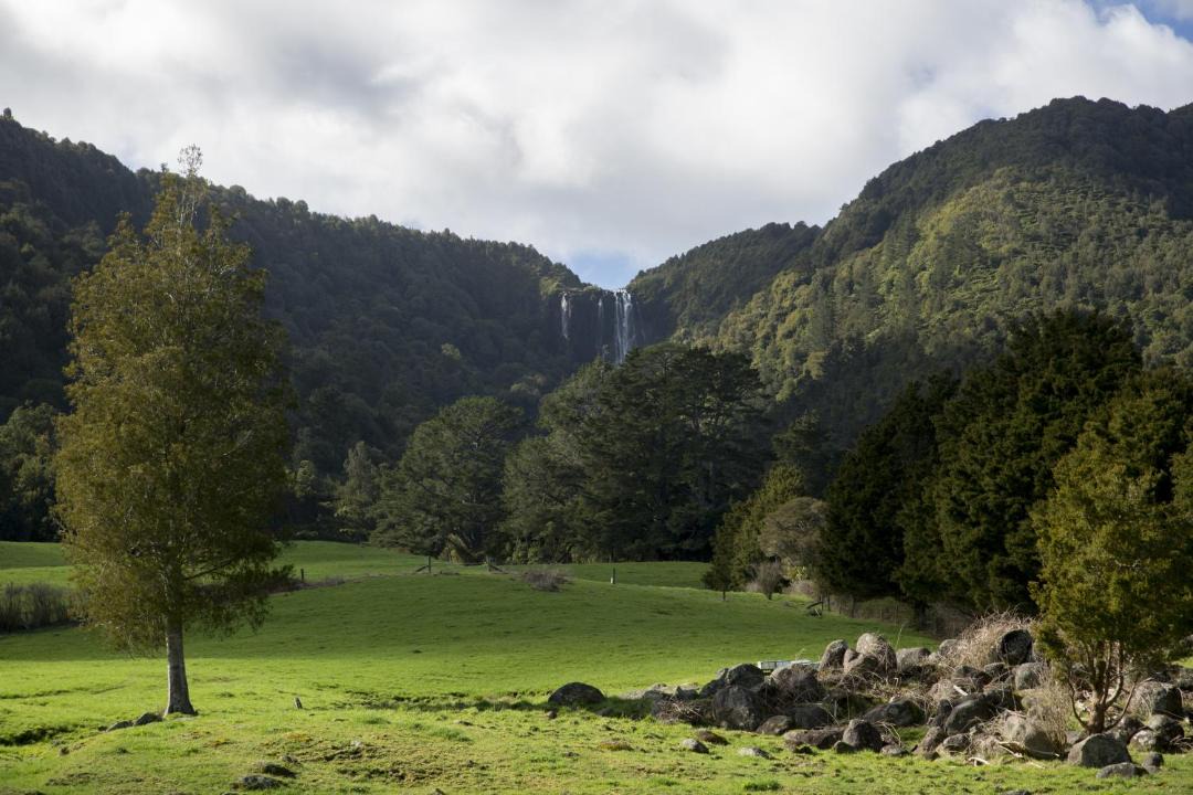Photo of Others in Matamata