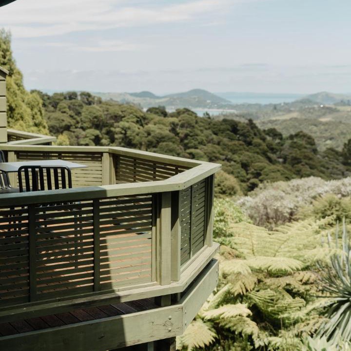 Photo of Others in Coromandel