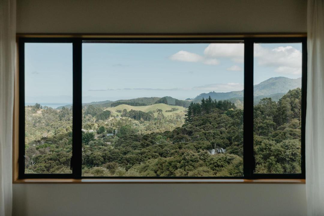 Photo of Others in Coromandel