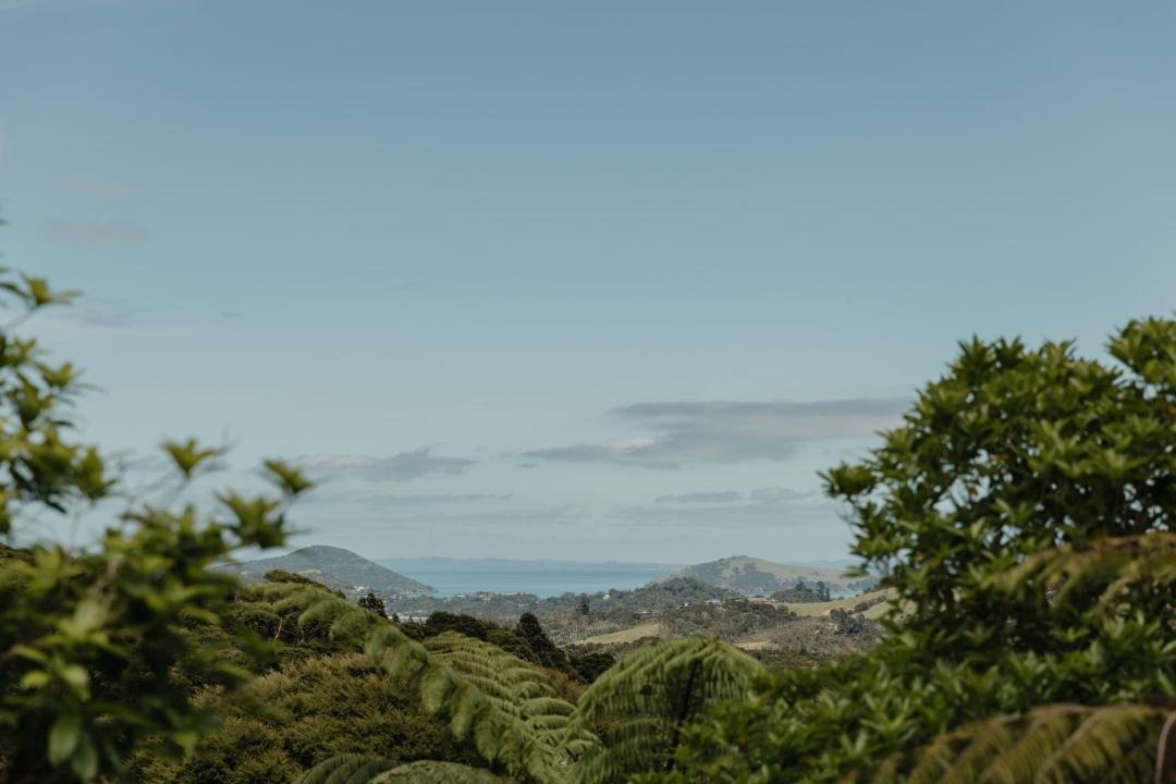 Photo of Others in Coromandel