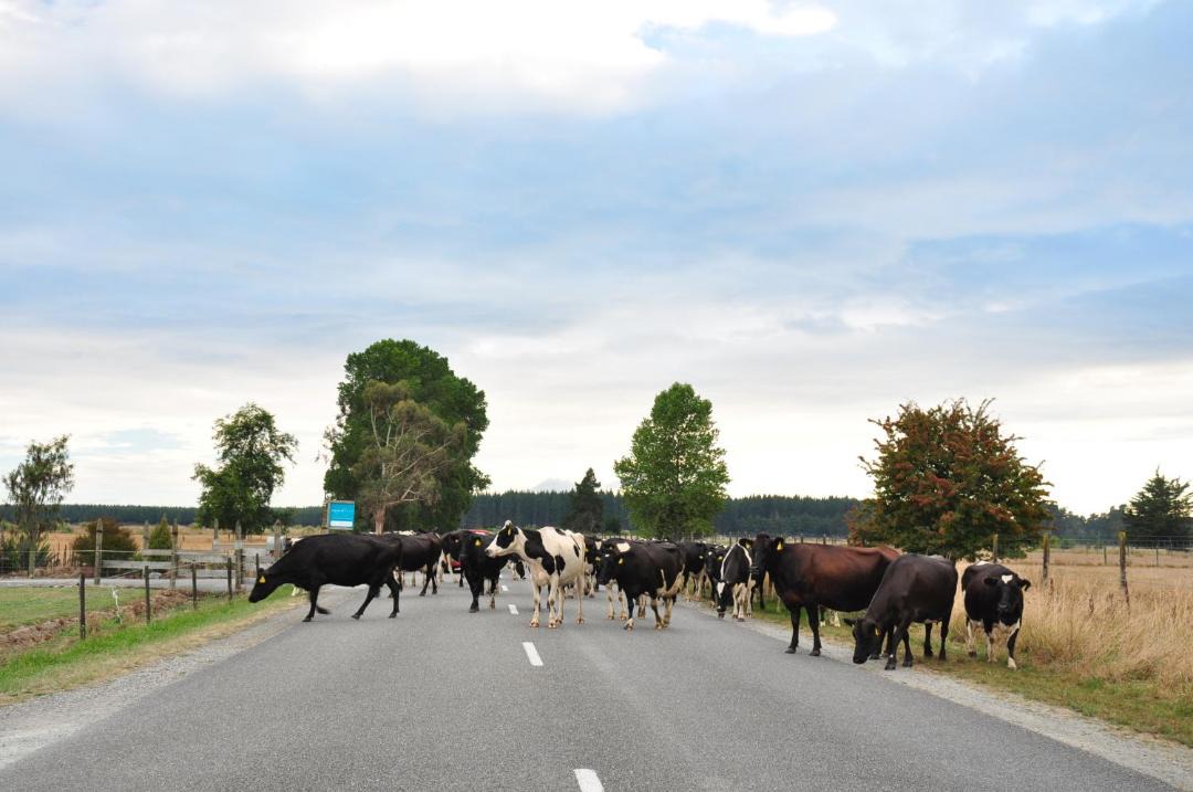 Photo of Others in Richmond