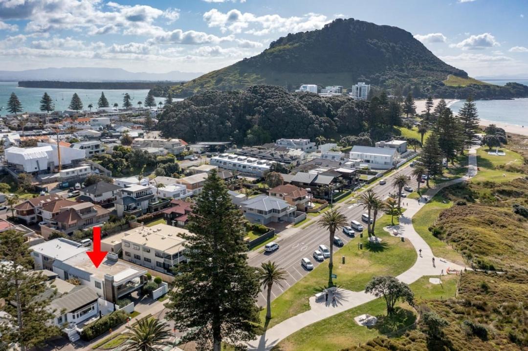Photo of Others in Mount Maunganui