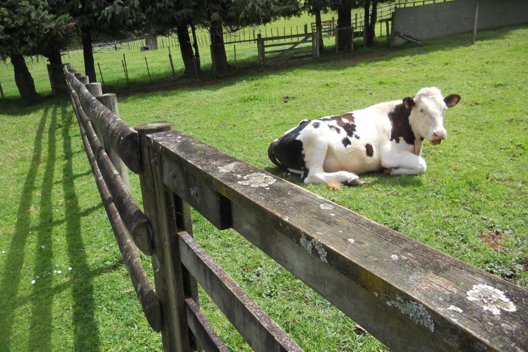 Photo of Others in Glenbervie