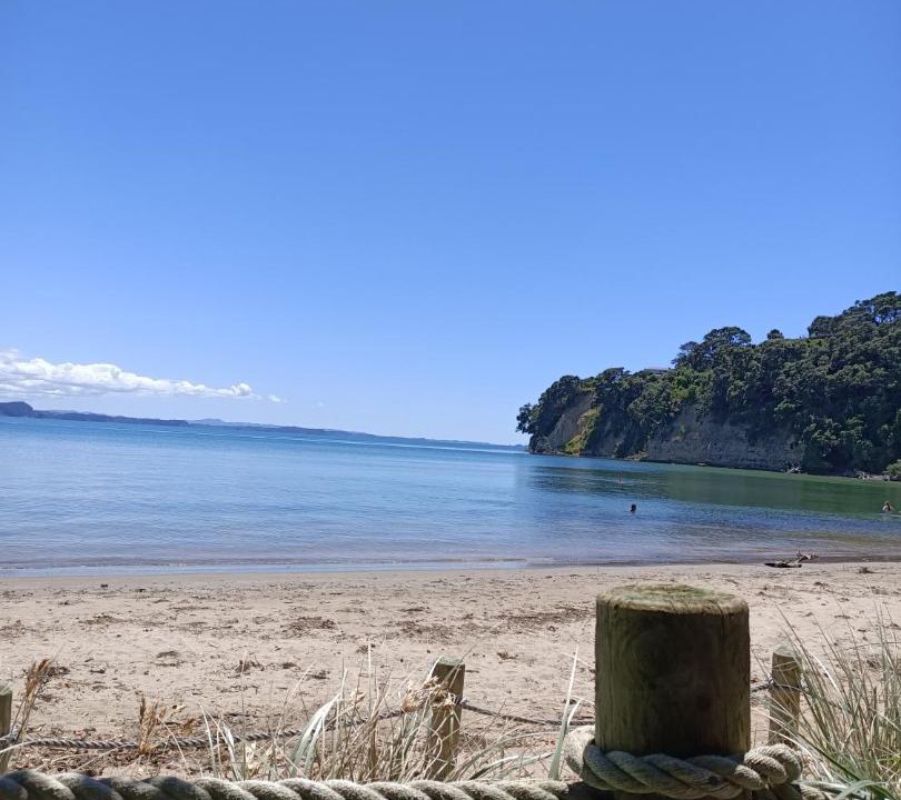 Photo of Others in Stanmore Bay