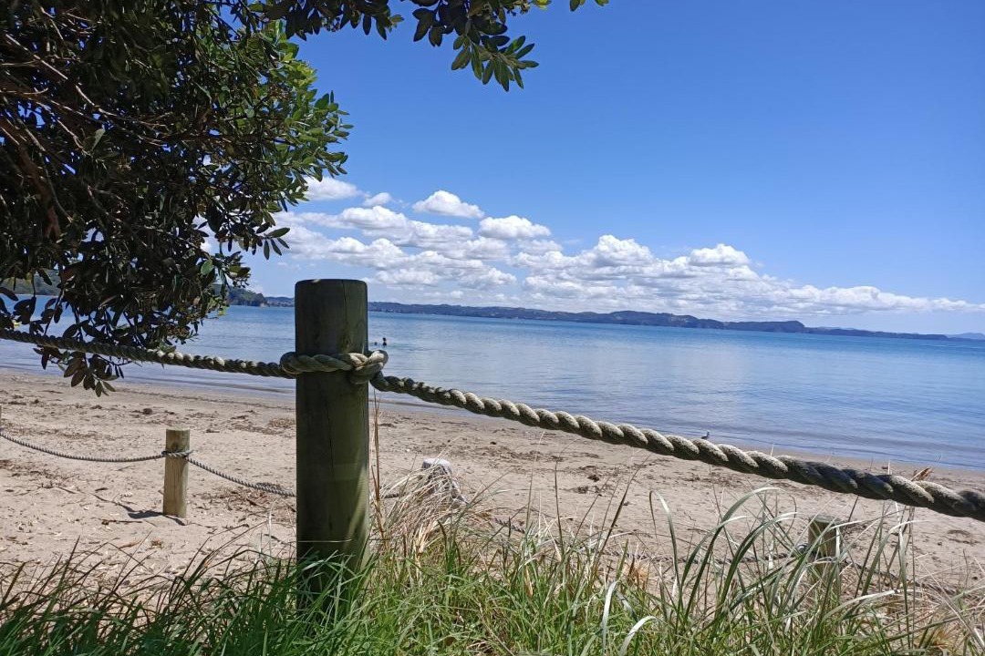 Photo of Others in Stanmore Bay
