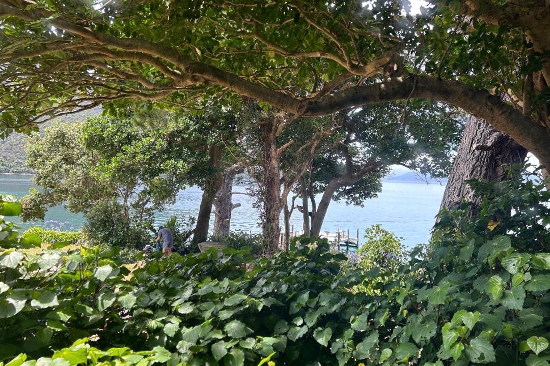 Photo of Others in Resolution Bay