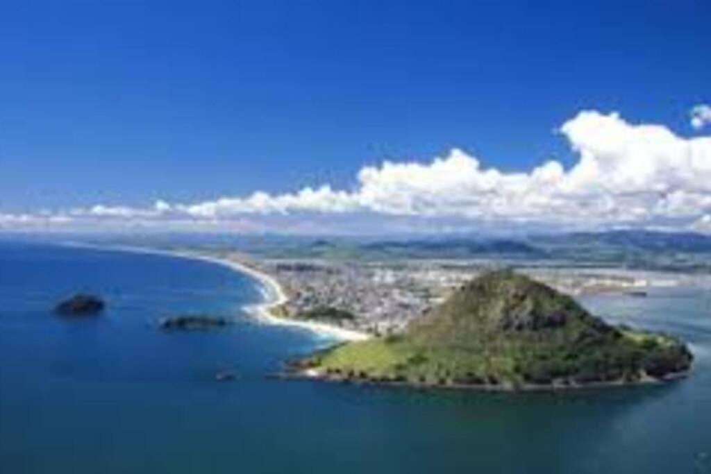 Photo of Others in Papamoa
