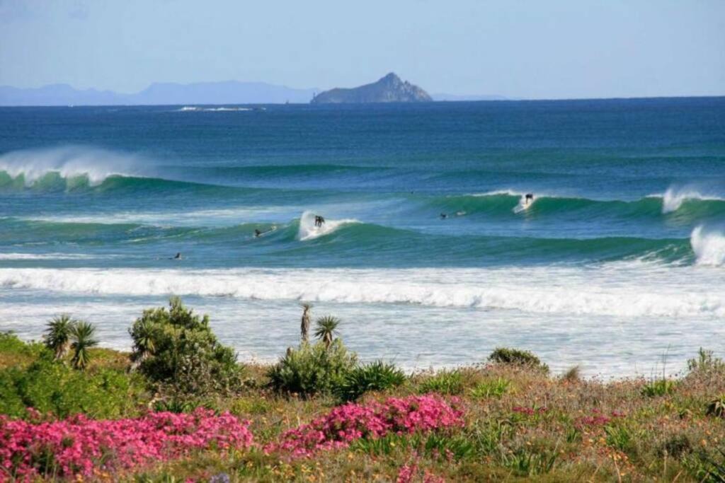 Photo of Others in Papamoa