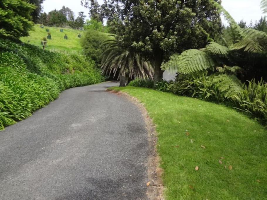 Photo of Others in Papamoa