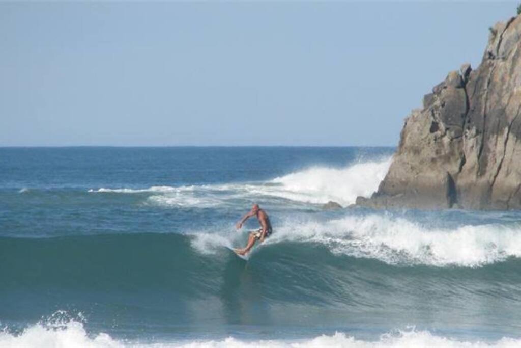 Photo of Others in Papamoa