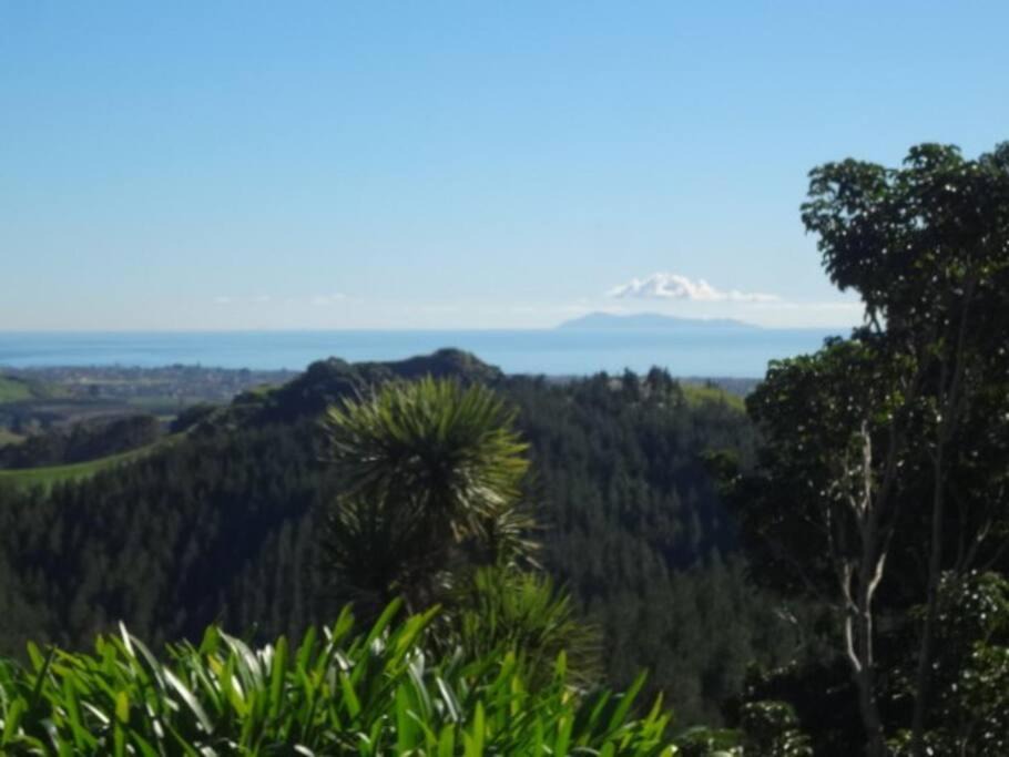Photo of Others in Papamoa
