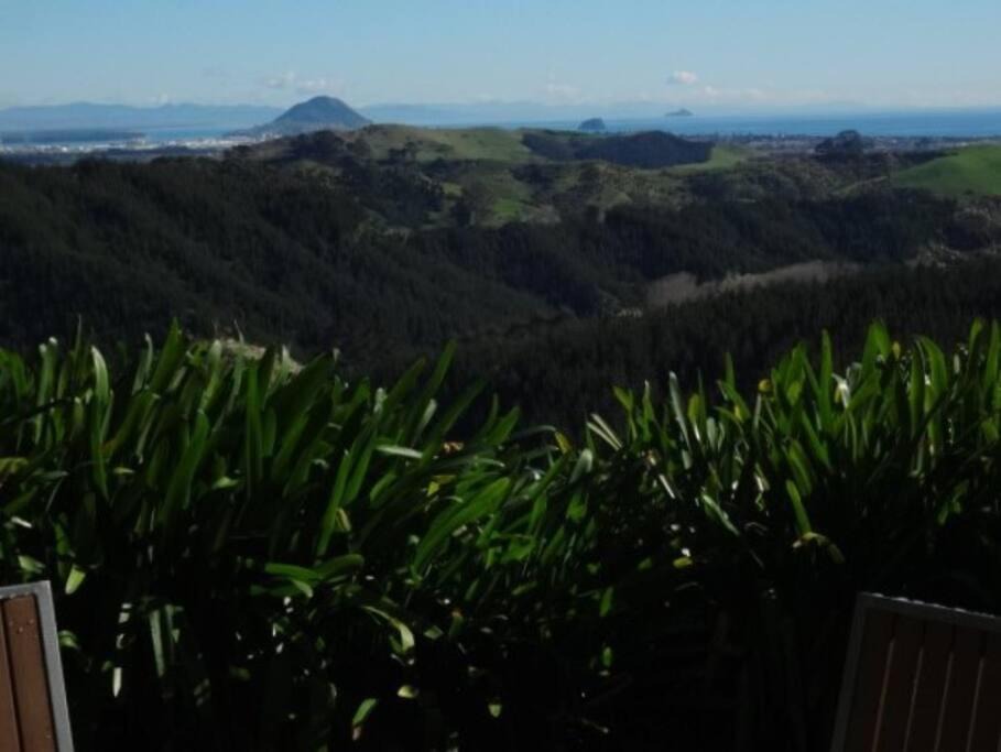 Photo of Others in Papamoa