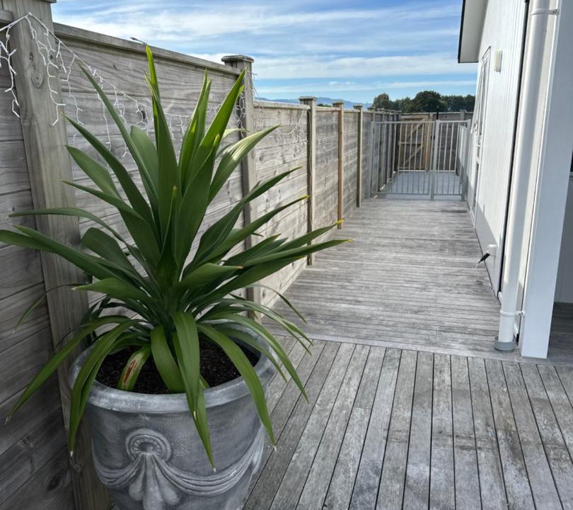 Photo of Others in Matamata