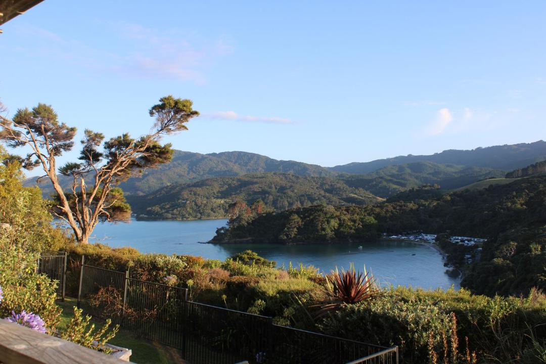 Photo of Others in Coromandel