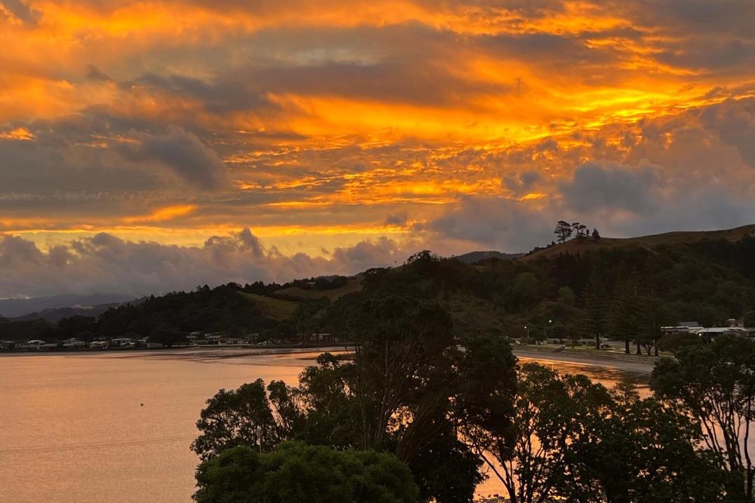Photo of Others in Whitianga