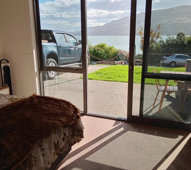 Photo of Others in Dunedin