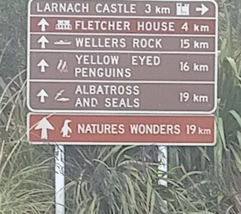 Photo of Others in Dunedin