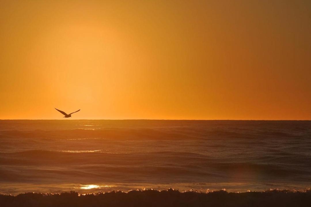 Photo of Others in Hokitika
