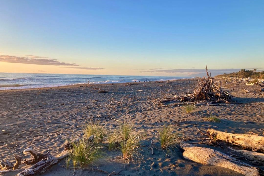Photo of Others in Hokitika