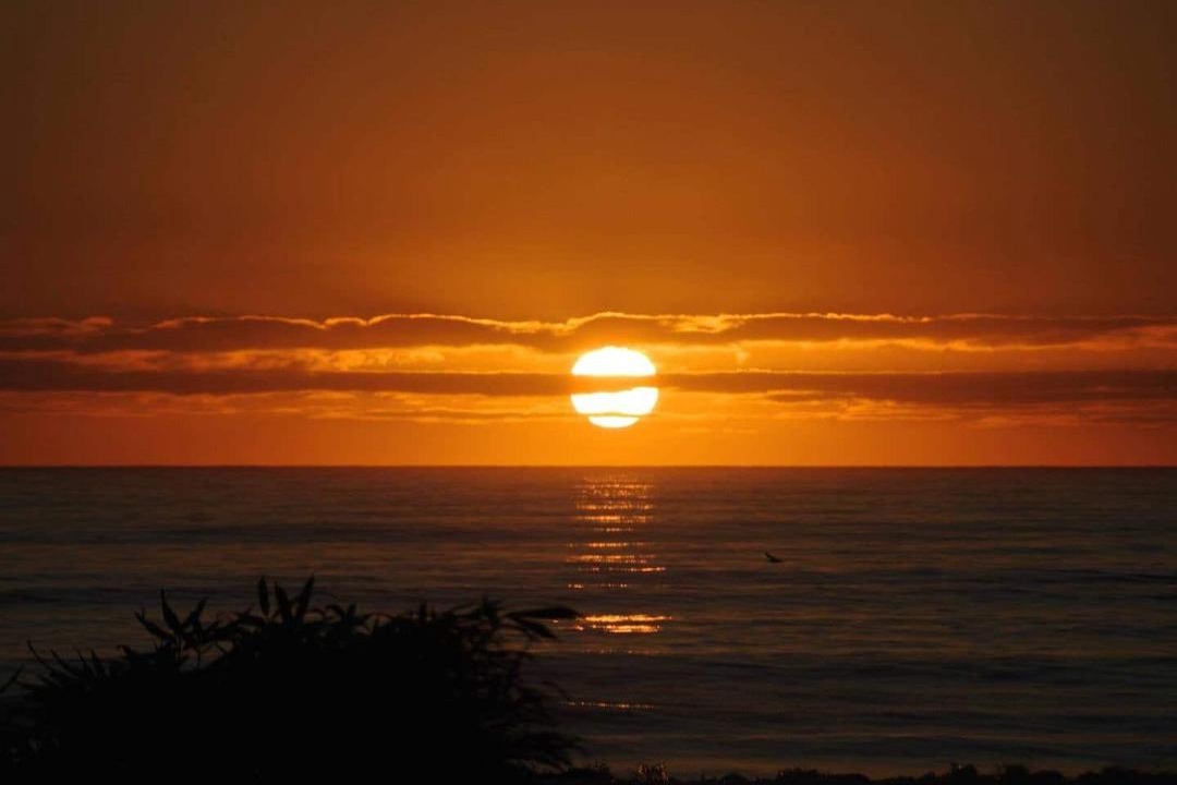 Photo of Others in Hokitika